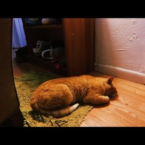 Meet your Posher, Samantha